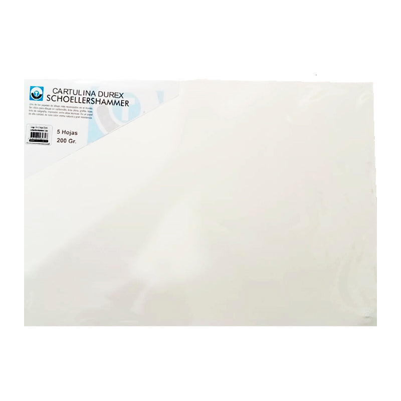 Cartulina Durex Schoellershammer Liso 200gr 1/8