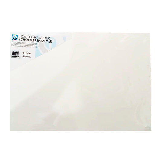 Cartulina Durex Schoellershammer Liso 200gr 1/4